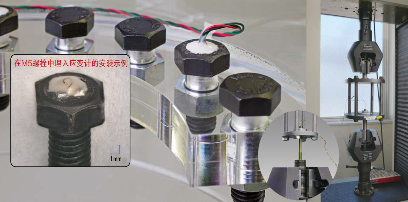 菠菜担保网·(中国区)官方网站